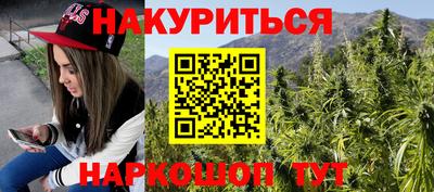 крисы Будённовск