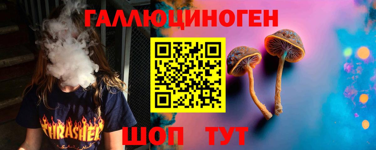 Псилоцибиновые грибы Psilocybine cubensis  Вход с VPN  Дюртюли  Псилоцибиновые грибы Psilocybe 